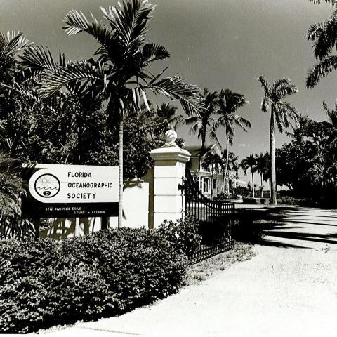 Florida Oceanographic Society | Florida Oceanographic Celebrates 56 years!